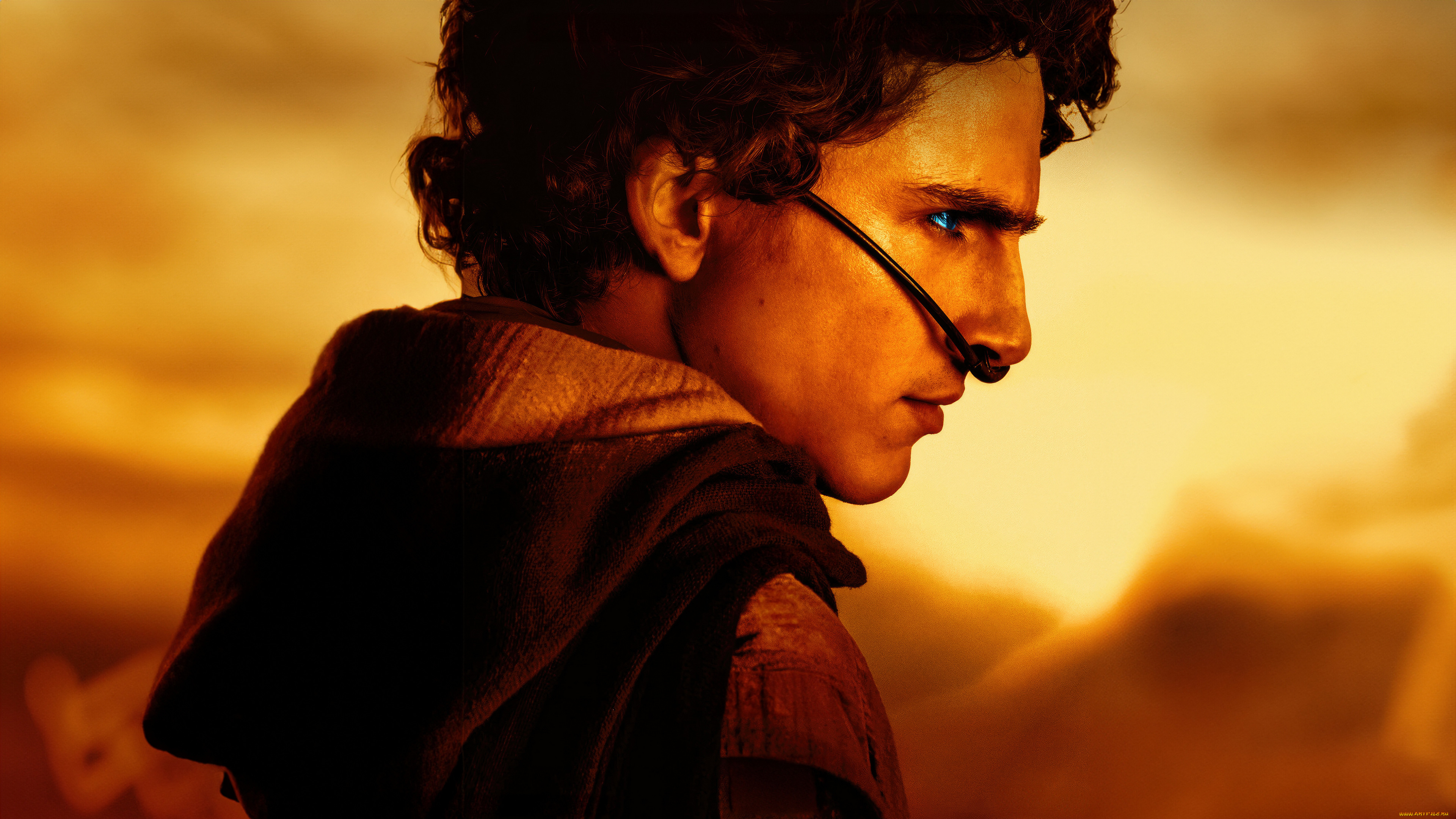 dune,  part two ,  2024 ,  ,  part two, , , , , , , , , , , , , , , , timothee, chalamet, paul, atreides